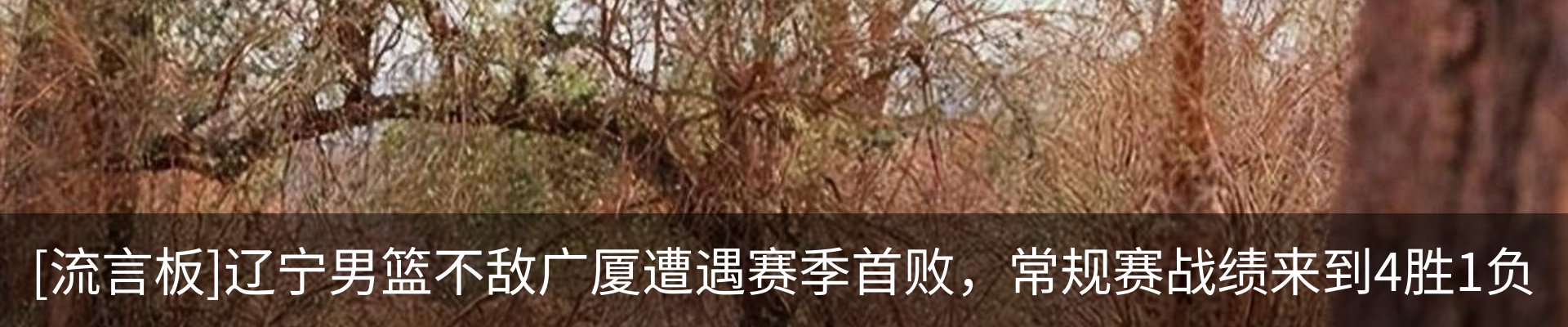 资讯动态
